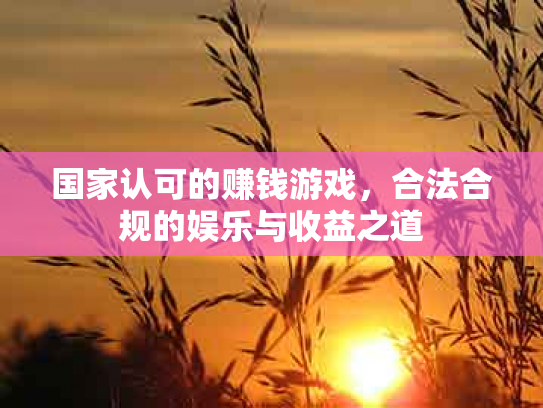 国家认可的赚钱游戏，合法合规的娱乐与收益之道