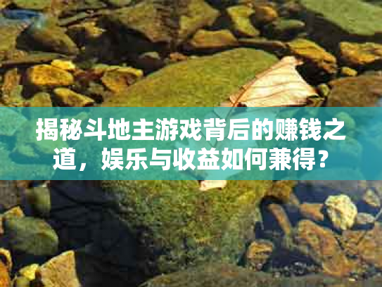 揭秘斗地主游戏背后的赚钱之道，娱乐与收益如何兼得？