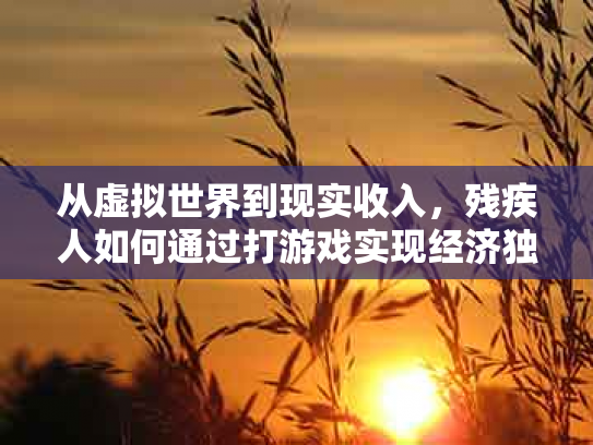 从虚拟世界到现实收入，残疾人如何通过打游戏实现经济独立