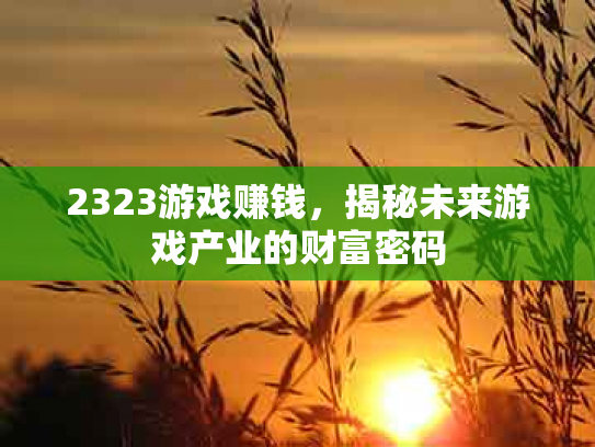 2323游戏赚钱，揭秘未来游戏产业的财富密码