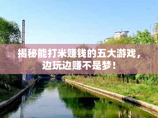 揭秘能打米赚钱的五大游戏，边玩边赚不是梦！