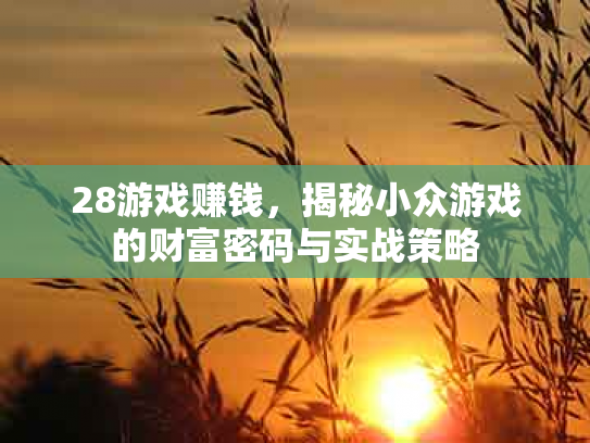 28游戏赚钱，揭秘小众游戏的财富密码与实战策略