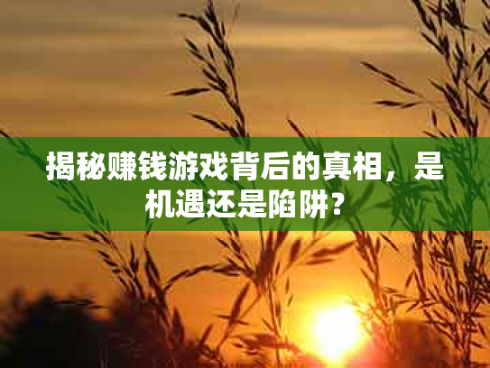 揭秘赚钱游戏背后的真相，是机遇还是陷阱？