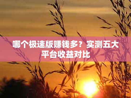 哪个极速版赚钱多？实测五大平台收益对比