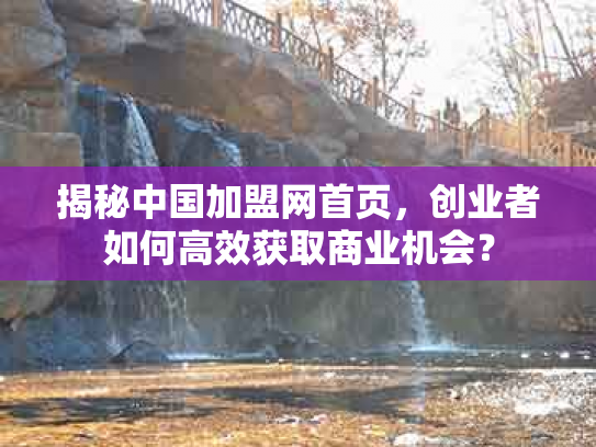 揭秘中国加盟网首页，创业者如何高效获取商业机会？