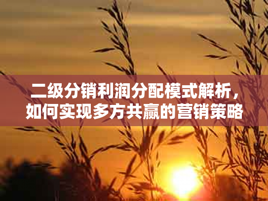 二级分销利润分配模式解析，如何实现多方共赢的营销策略？
