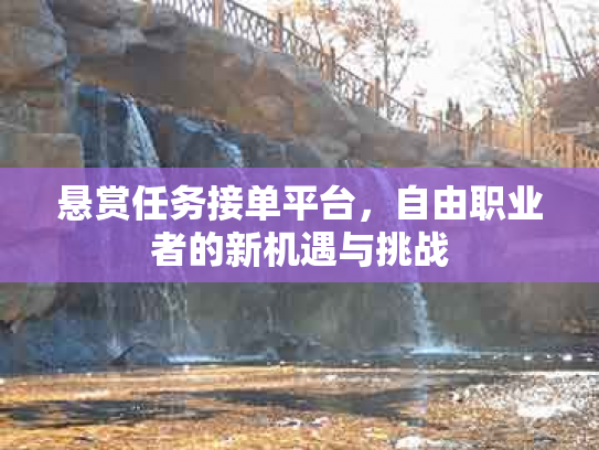 悬赏任务接单平台，自由职业者的新机遇与挑战