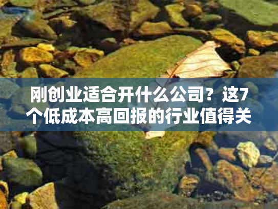刚创业适合开什么公司？这7个低成本高回报的行业值得关注