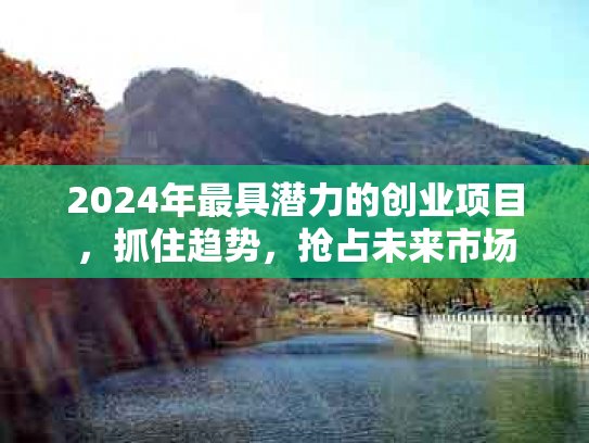 2024年最具潜力的创业项目，抓住趋势，抢占未来市场