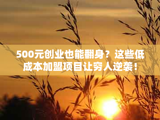 500元创业也能翻身？这些低成本加盟项目让穷人逆袭！