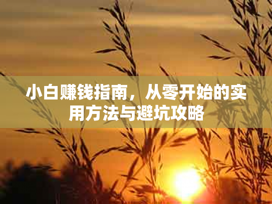 小白赚钱指南，从零开始的实用方法与避坑攻略