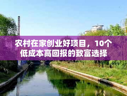 农村在家创业好项目，10个低成本高回报的致富选择