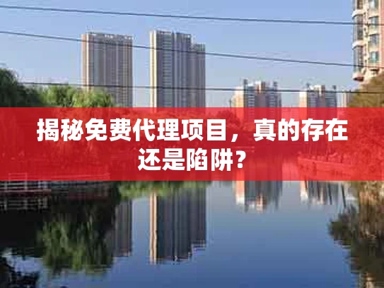 揭秘免费代理项目，真的存在还是陷阱？