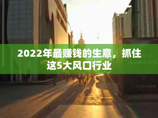 2022年最赚钱的生意，抓住这5大风口行业
