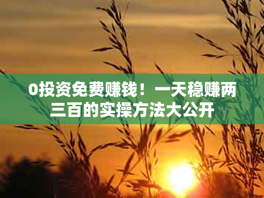 0投资免费赚钱！一天稳赚两三百的实操方法大公开