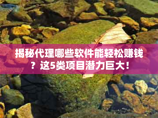 揭秘代理哪些软件能轻松赚钱？这5类项目潜力巨大！
