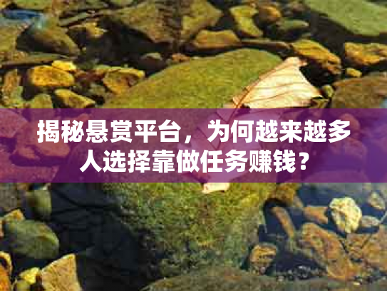 揭秘悬赏平台，为何越来越多人选择靠做任务赚钱？
