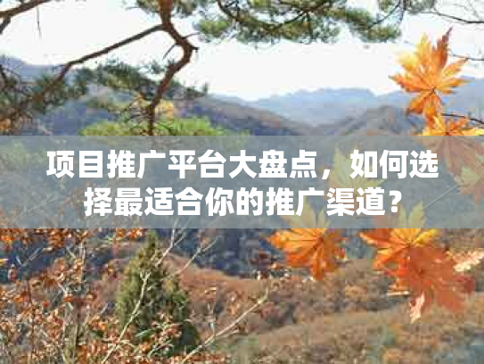 项目推广平台大盘点，如何选择最适合你的推广渠道？