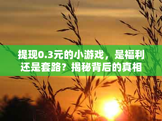 提现0.3元的小游戏，是福利还是套路？揭秘背后的真相