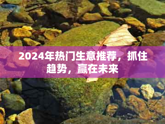 2024年热门生意推荐，抓住趋势，赢在未来