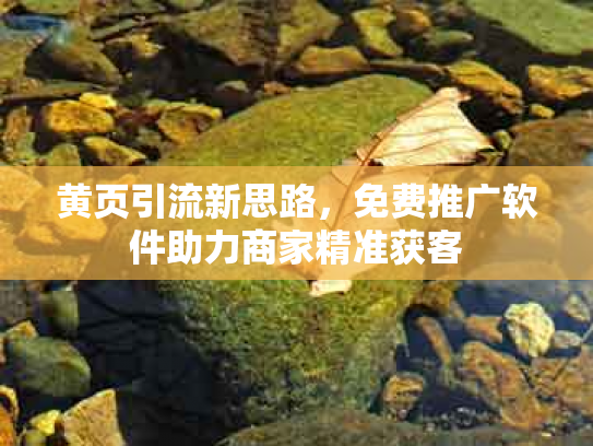 黄页引流新思路，免费推广软件助力商家精准获客