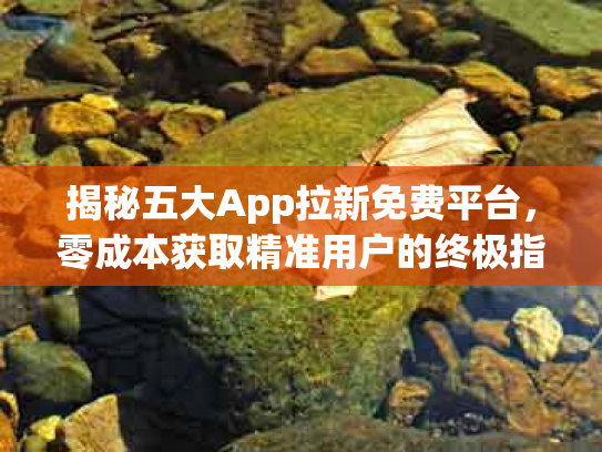 揭秘五大App拉新免费平台，零成本获取精准用户的终极指南