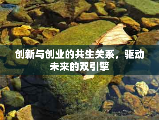 创新与创业的共生关系，驱动未来的双引擎