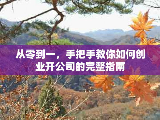 从零到一，手把手教你如何创业开公司的完整指南