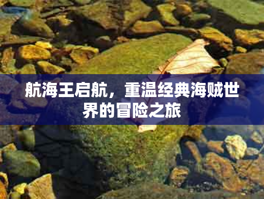 航海王启航，重温经典海贼世界的冒险之旅