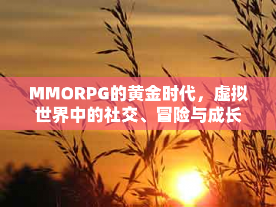 MMORPG的黄金时代，虚拟世界中的社交、冒险与成长