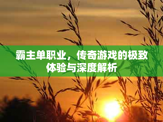 霸主单职业，传奇游戏的极致体验与深度解析