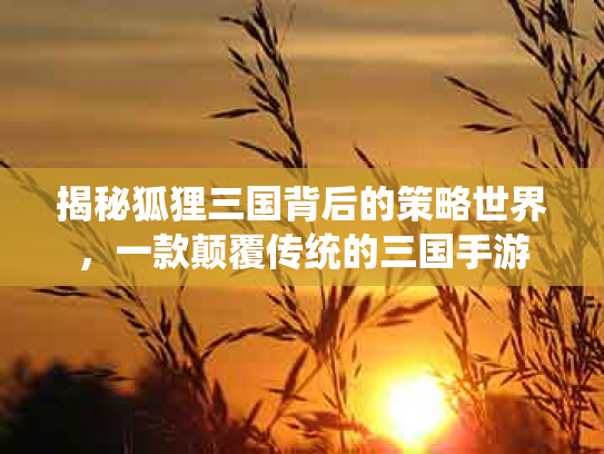 揭秘狐狸三国背后的策略世界，一款颠覆传统的三国手游