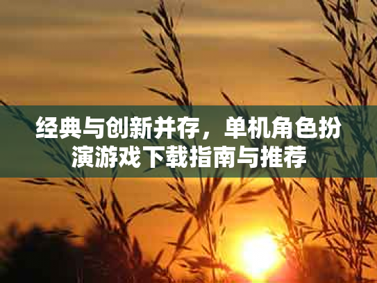 经典与创新并存，单机角色扮演游戏下载指南与推荐