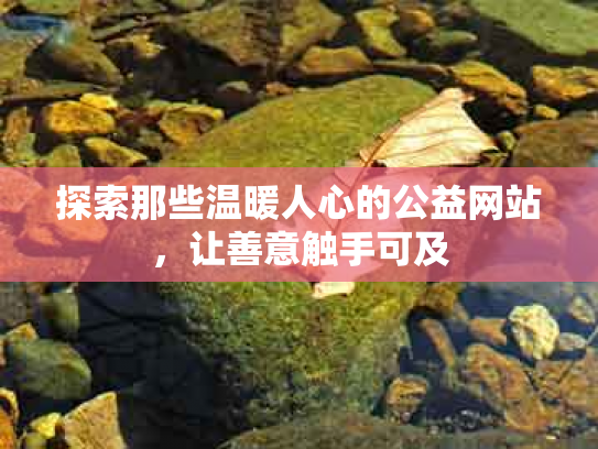 探索那些温暖人心的公益网站，让善意触手可及