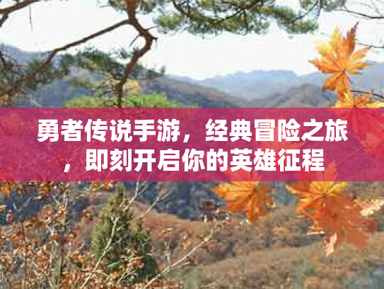 勇者传说手游，经典冒险之旅，即刻开启你的英雄征程