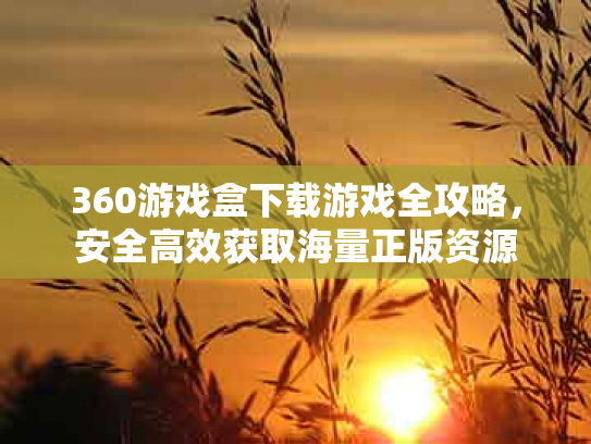 360游戏盒下载游戏全攻略，安全高效获取海量正版资源