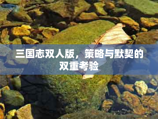 三国志双人版，策略与默契的双重考验