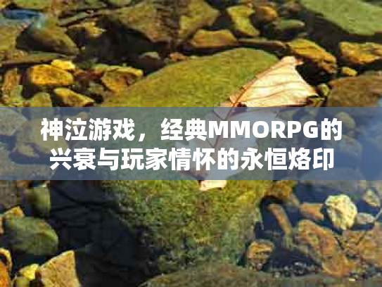 神泣游戏，经典MMORPG的兴衰与玩家情怀的永恒烙印